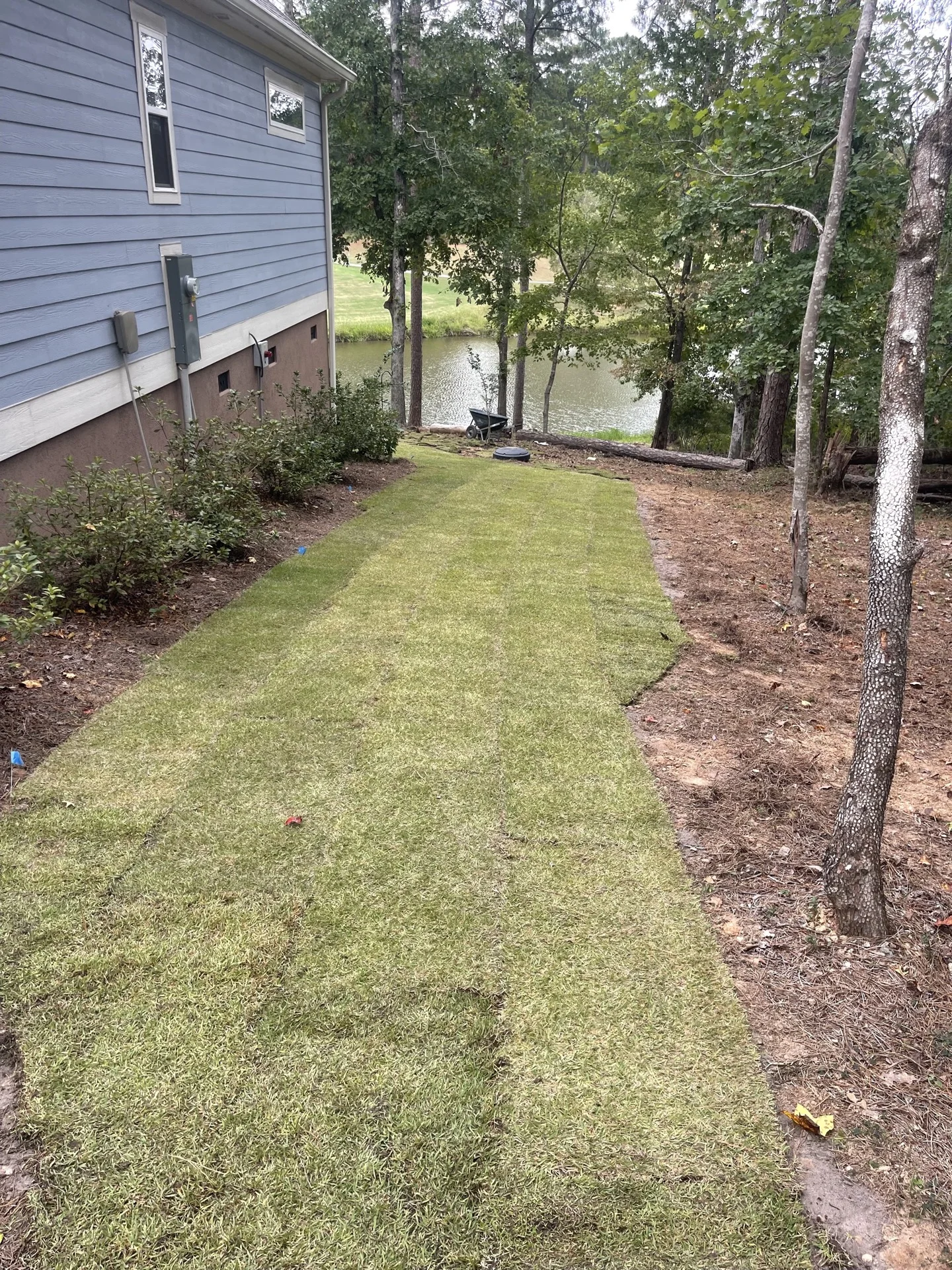 Southern Ethos project 4