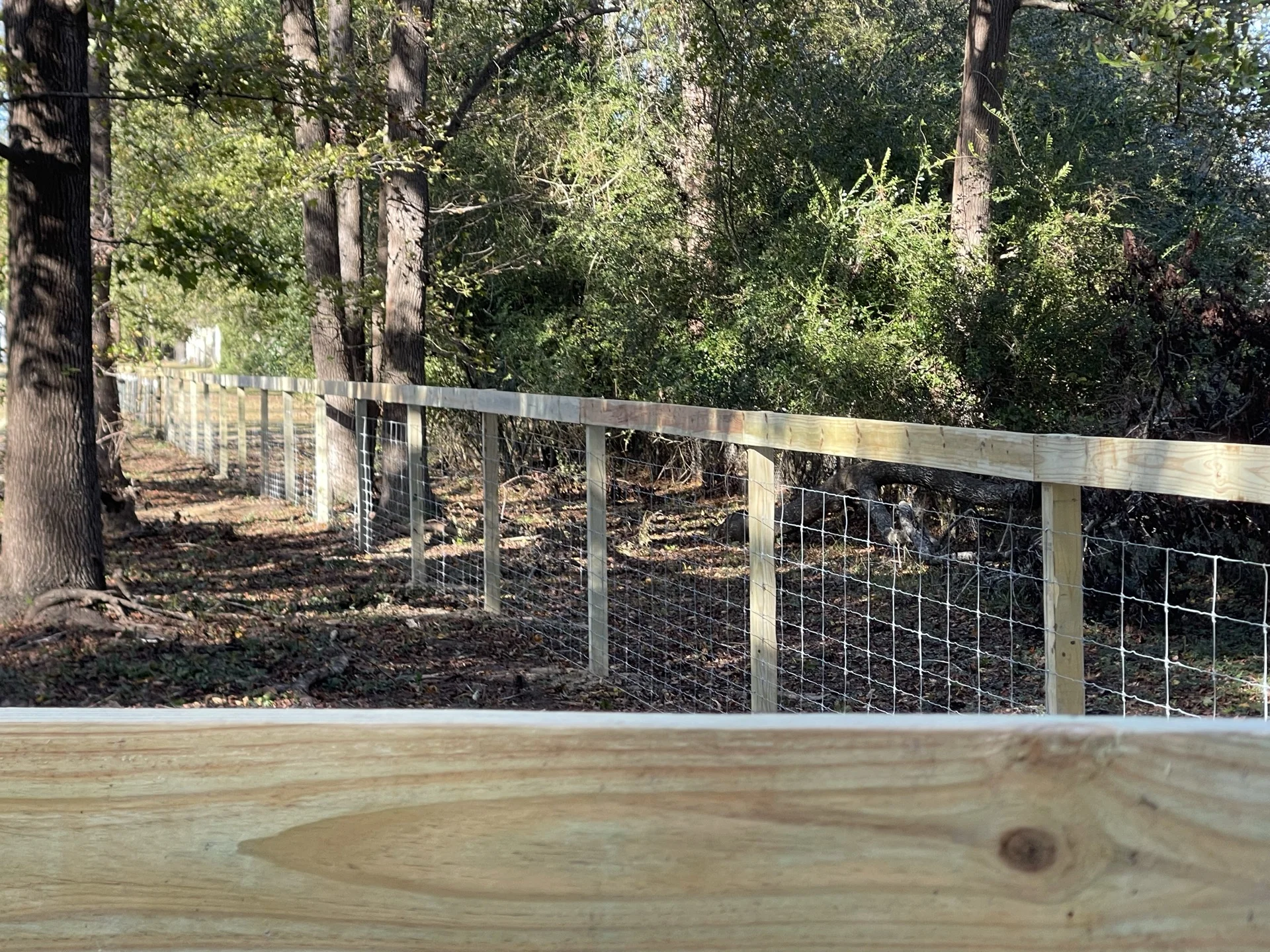 Southern Ethos project 2