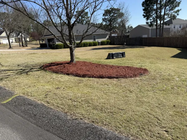 Southern Ethos project 33