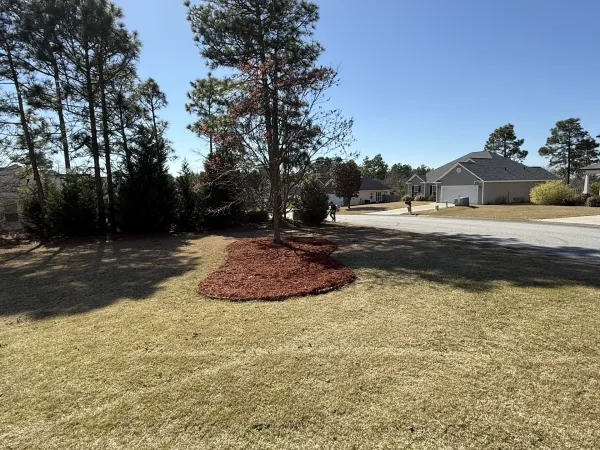 Southern Ethos project 32