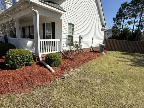 Southern Ethos project 31