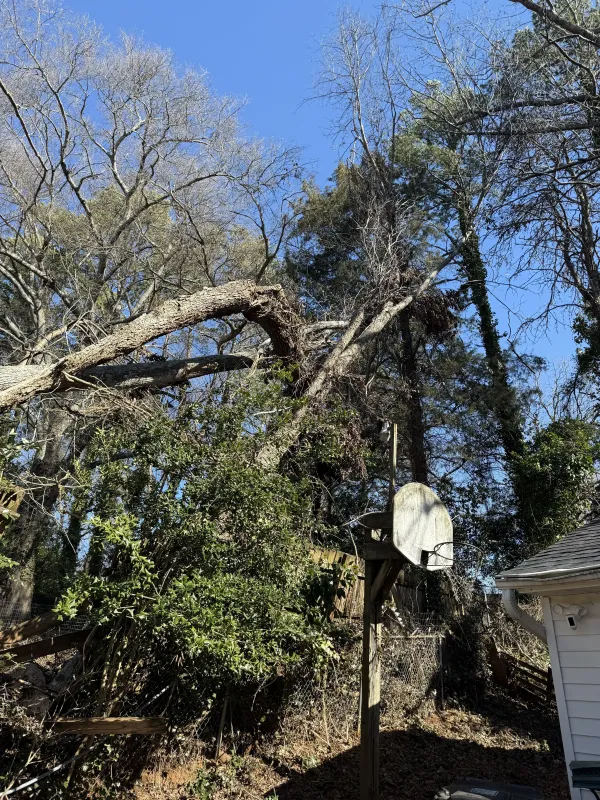 Southern Ethos project 9