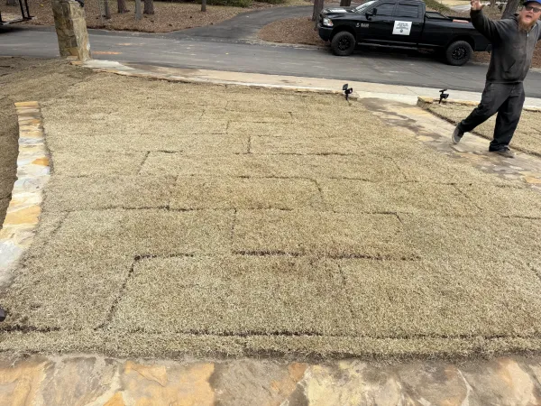 Southern Ethos project 7